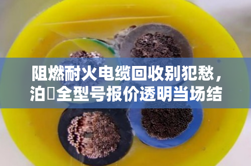阻燃耐火电缆回收别犯愁，泊祎全型号报价透明当场结算