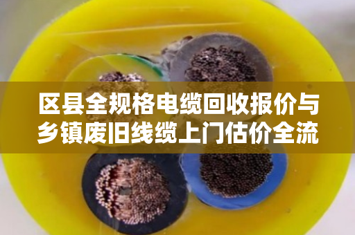 区县全规格电缆回收报价与乡镇废旧线缆上门估价全流程解析