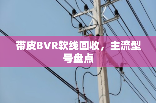 带皮BVR软线回收,主流型号盘点 带皮BVR软线回收,主流型号盘点