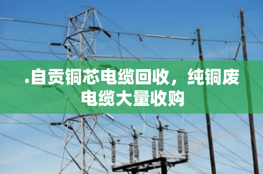 .自贡铜芯电缆回收,纯铜废电缆大量收购 .自贡铜芯电缆回收,纯铜废电缆大量收购
