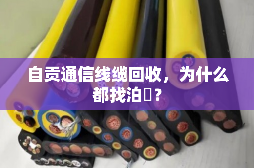 自贡通信线缆回收，为什么都找泊祎？