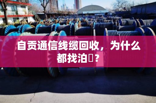自贡通信线缆回收，为什么都找泊祎？