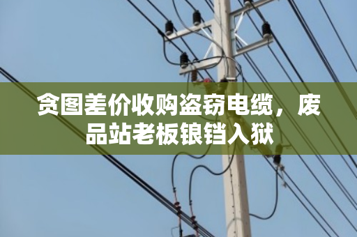 贪图差价收购盗窃电缆,废品站老板锒铛入狱 贪图差价收购盗窃电缆,废品站老板锒铛入狱