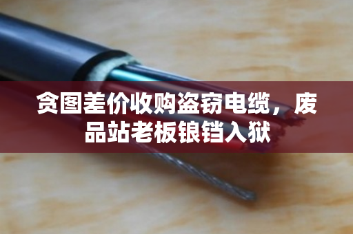 贪图差价收购盗窃电缆，废品站老板锒铛入狱
