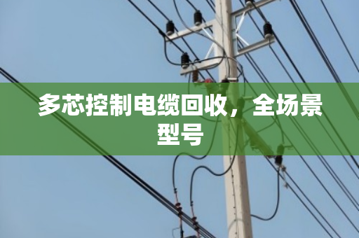 多芯控制电缆回收，全场景型号
