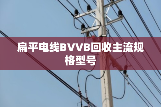 扁平电线BVVB回收主流规格型号 扁平电线BVVB回收主流规格型号