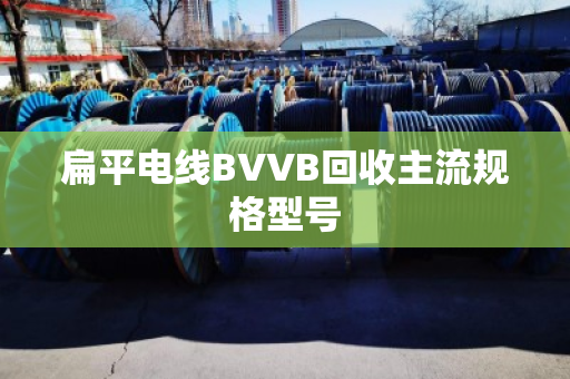 扁平电线BVVB回收主流规格型号