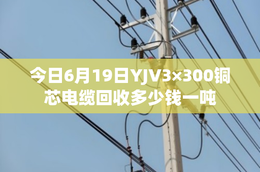 今日6月19日YJV3×300铜芯电缆回收多少钱一吨 今日6月19日YJV3×300铜芯电缆回收多少钱一吨