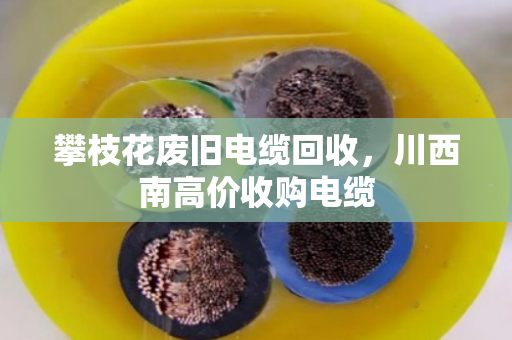 攀枝花废旧电缆回收,川西南高价收购电缆 攀枝花废旧电缆回收,川西南高价收购电缆