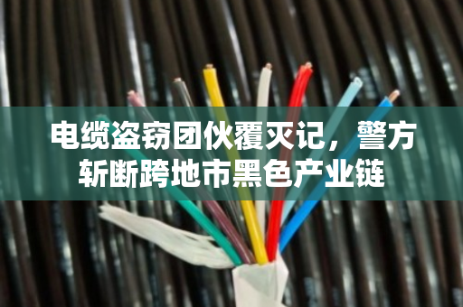 电缆盗窃团伙覆灭记,警方斩断跨地市黑色产业链 电缆盗窃团伙覆灭记,警方斩断跨地市黑色产业链