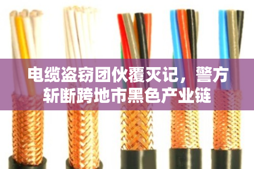电缆盗窃团伙覆灭记,警方斩断跨地市黑色产业链 电缆盗窃团伙覆灭记,警方斩断跨地市黑色产业链