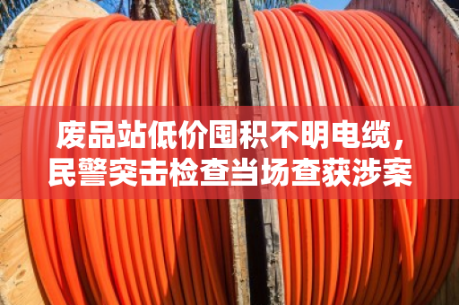 废品站低价囤积不明电缆,民警突击检查当场查获涉案线缆 废品站低价囤积不明电缆,民警突击检查当场查获涉案线缆