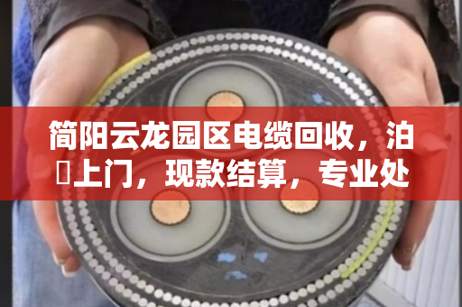 简阳云龙园区电缆回收，泊祎上门，现款结算，专业处理消防改造废缆