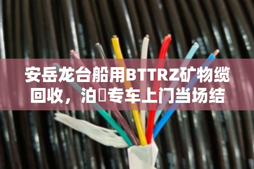 安岳龙台船用BTTRZ矿物缆回收,泊祎专车上门当场结款 安岳龙台船用BTTRZ矿物缆回收,泊祎专车上门当场结款