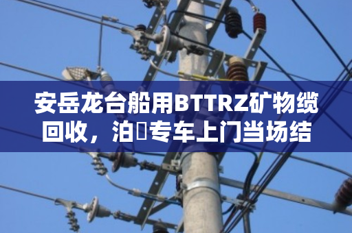 安岳龙台船用BTTRZ矿物缆回收,泊祎专车上门当场结款 安岳龙台船用BTTRZ矿物缆回收,泊祎专车上门当场结款