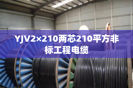 YJV2×210两芯210平方非标工程电缆 YJV2×210两芯210平方非标工程电缆