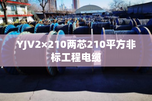 YJV2×210两芯210平方非标工程电缆 YJV2×210两芯210平方非标工程电缆