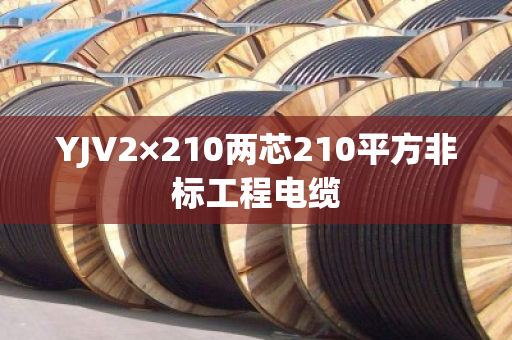 YJV2×210两芯210平方非标工程电缆