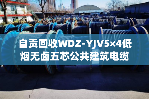 自贡回收WDZ-YJV5×4低烟无卤五芯公共建筑电缆 自贡回收WDZ-YJV5×4低烟无卤五芯公共建筑电缆