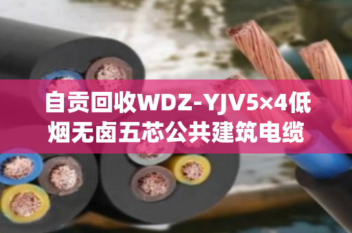 自贡回收WDZ-YJV5×4低烟无卤五芯公共建筑电缆 自贡回收WDZ-YJV5×4低烟无卤五芯公共建筑电缆