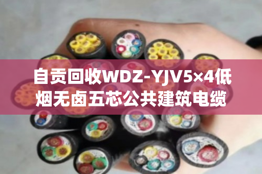 自贡回收WDZ-YJV5×4低烟无卤五芯公共建筑电缆 自贡回收WDZ-YJV5×4低烟无卤五芯公共建筑电缆