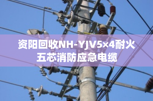 资阳回收NH-YJV5×4耐火五芯消防应急电缆 资阳回收NH-YJV5×4耐火五芯消防应急电缆