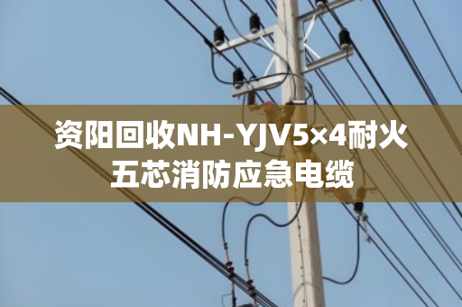 资阳回收NH-YJV5×4耐火五芯消防应急电缆 资阳回收NH-YJV5×4耐火五芯消防应急电缆