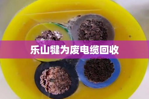 乐山犍为废电缆回收