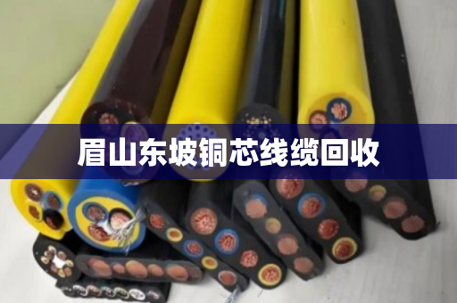 眉山东坡铜芯线缆回收 眉山东坡铜芯线缆回收
