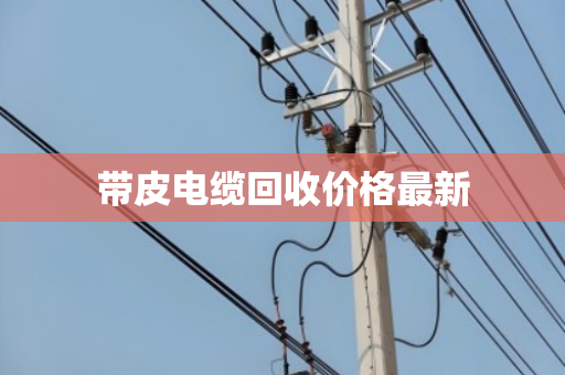 带皮电缆回收价格最新 带皮电缆回收价格最新