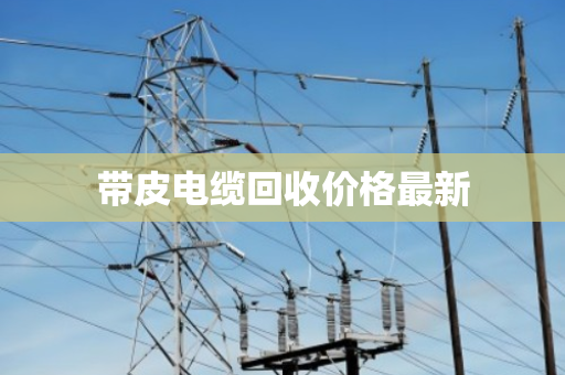 带皮电缆回收价格最新 带皮电缆回收价格最新