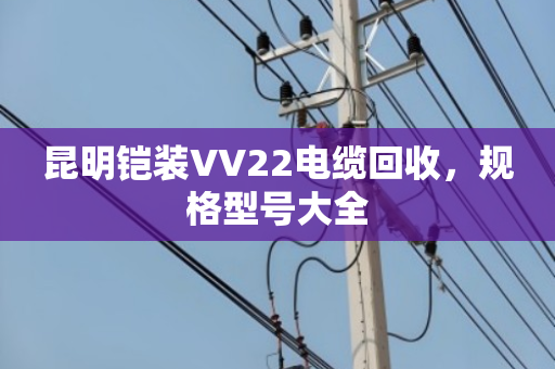 昆明铠装VV22电缆回收,规格型号大全 昆明铠装VV22电缆回收,规格型号大全