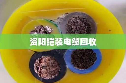 资阳铠装电缆回收