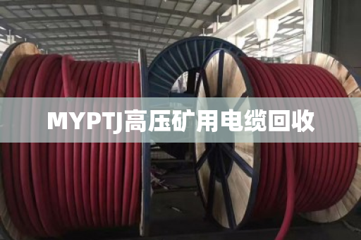 MYPTJ高压矿用电缆回收