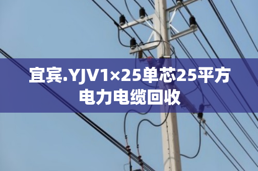 宜宾.YJV1×25单芯25平方电力电缆回收 宜宾.YJV1×25单芯25平方电力电缆回收