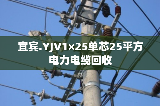 宜宾.YJV1×25单芯25平方电力电缆回收 宜宾.YJV1×25单芯25平方电力电缆回收