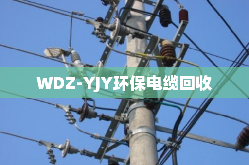 WDZ-YJY环保电缆回收 WDZ-YJY环保电缆回收
