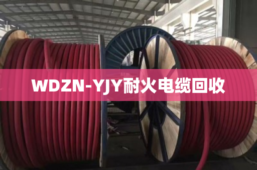 WDZN-YJY耐火电缆回收