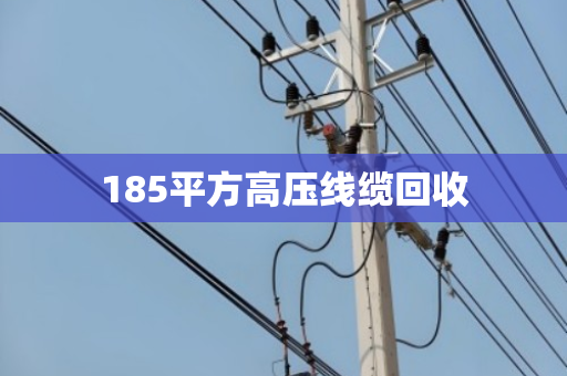 185平方高压线缆回收