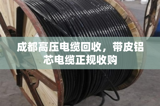 成都高压电缆回收,带皮铝芯电缆正规收购 成都高压电缆回收,带皮铝芯电缆正规收购