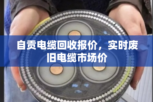自贡电缆回收报价,实时废旧电缆市场价 自贡电缆回收报价,实时废旧电缆市场价