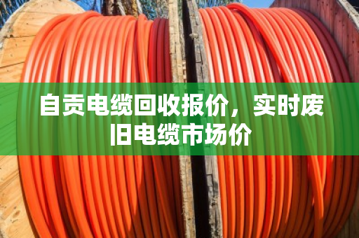 自贡电缆回收报价,实时废旧电缆市场价 自贡电缆回收报价,实时废旧电缆市场价