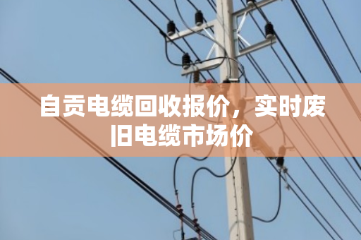 自贡电缆回收报价,实时废旧电缆市场价 自贡电缆回收报价,实时废旧电缆市场价