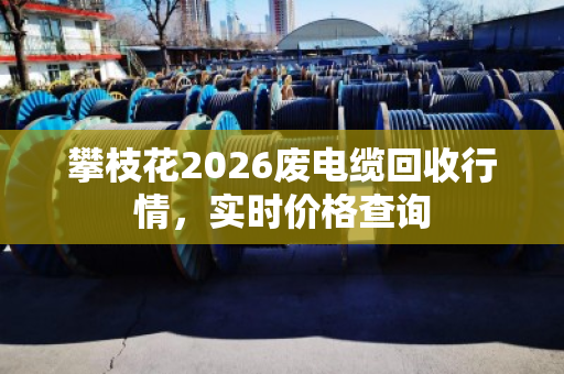 攀枝花2026废电缆回收行情，实时价格查询