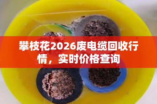攀枝花2026废电缆回收行情，实时价格查询