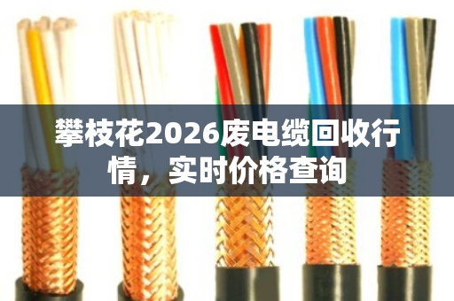 攀枝花2026废电缆回收行情，实时价格查询