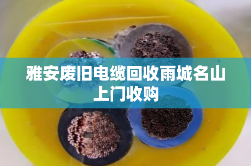 雅安废旧电缆回收雨城名山上门收购 雅安废旧电缆回收雨城名山上门收购
