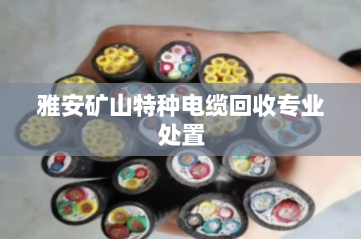 雅安矿山特种电缆回收专业处置 雅安矿山特种电缆回收专业处置