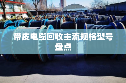 带皮电缆回收主流规格型号盘点