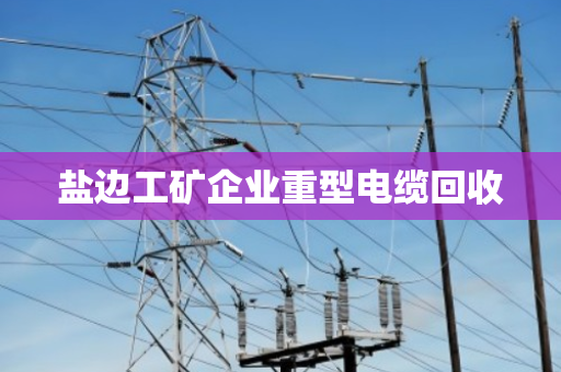 盐边工矿企业重型电缆回收
